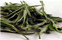 仙人掌茶