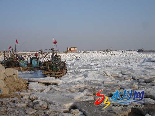 莱州湾沙蚕