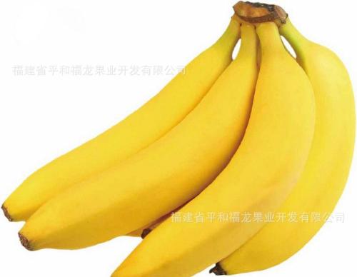 坂仔香蕉