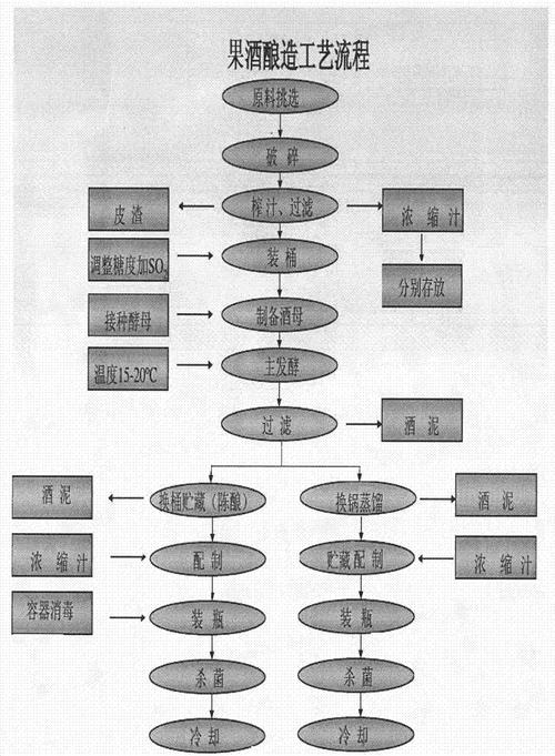 果酒酿造技术，了解一下