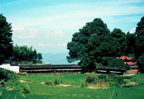 延平区茂地镇宝珠村宝珠百合花