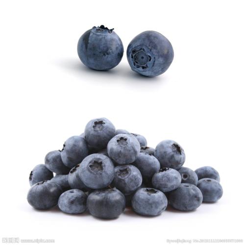 马贵蓝莓