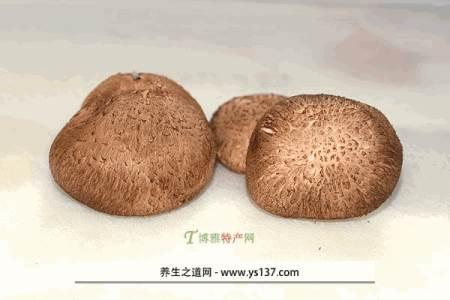  巫山野生香菇