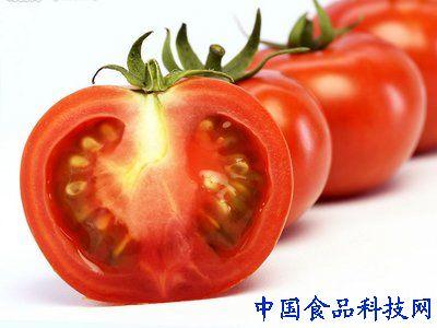 东海西红柿