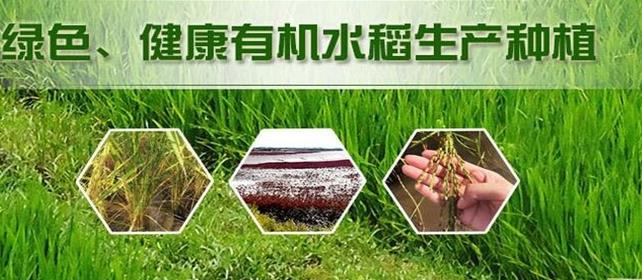 黑龙江省和粮农业有限公司