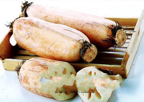 苏州塘藕