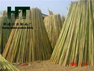 怀集茶杆竹