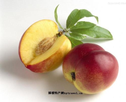  香城油桃