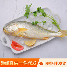 东海生态鱼