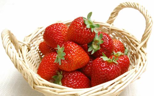  安丘草莓
