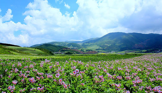 马厂归