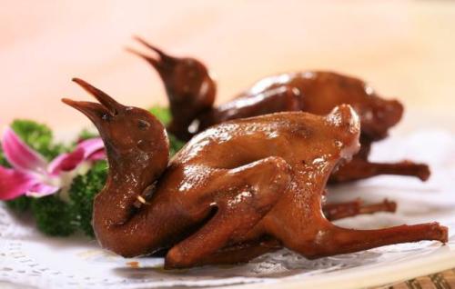 光明乳鸽