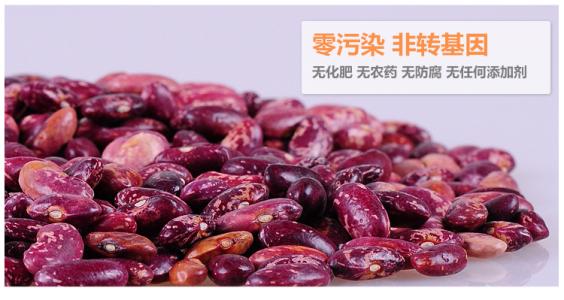  紫花芸豆