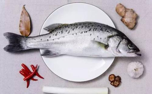 斗门海鲈