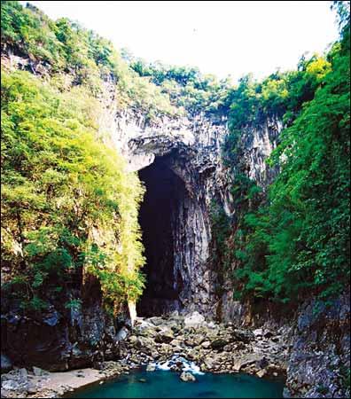 永平鸡枞