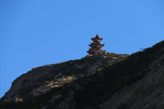 赤城野山榛