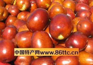 峄县大枣