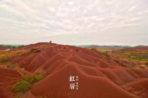 西富村花盆