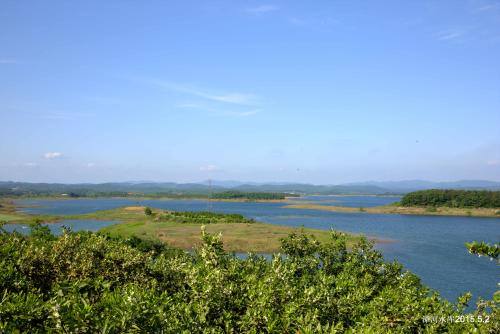 湖北荆门东宝-漳河水库草鱼