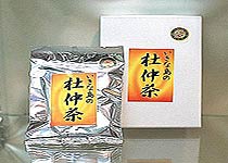 杜仲茶